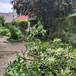 Er is genoeg weg te halen